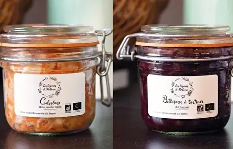 🥕 Les Légumes d’Hortense – Maraîchage bio et lactofermentation artisanale