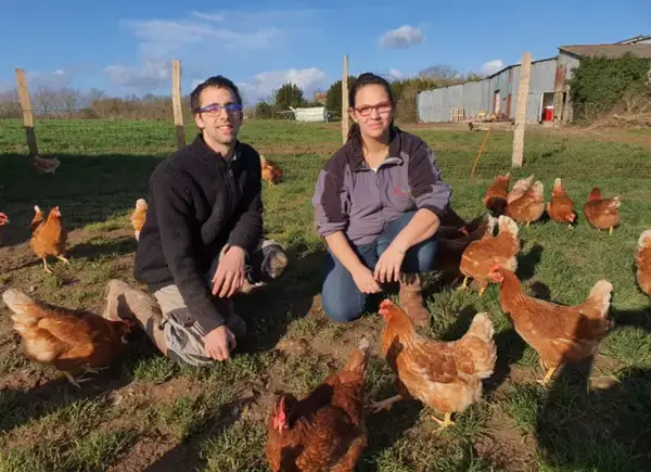 🥚 Les Œufs d’Antan – Œufs bio en plein air à Andilly