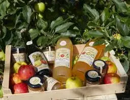🍏 Domaine Chaillou – Pommes, poires et jus de fruits bio à Gémozac