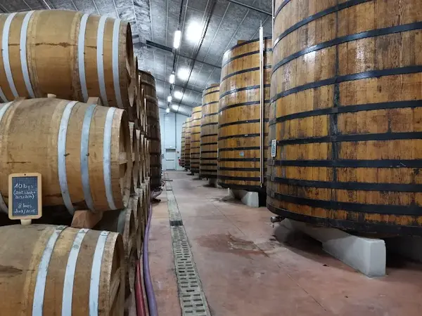 🍷 COOPÉRATIVE DES VIGNERONS DE L'ILE DE RÉ